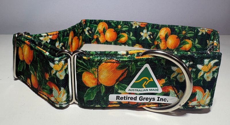 Big Bones Orange Fruit