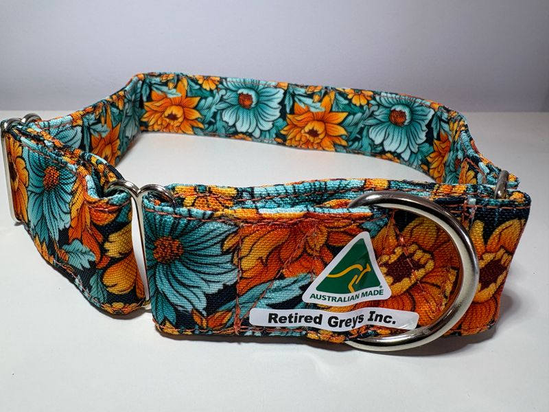 Big Bones Orange and Teal