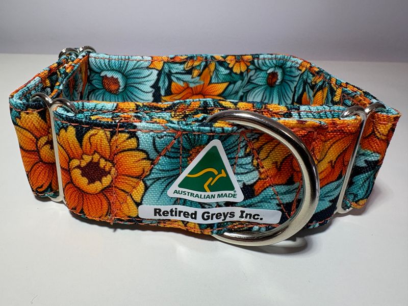 Classic Orange Teal