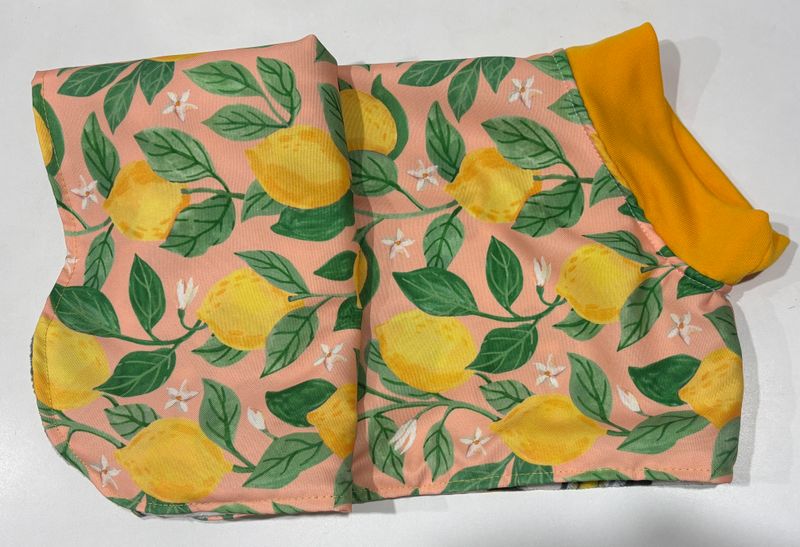 Coat Lemon Peach