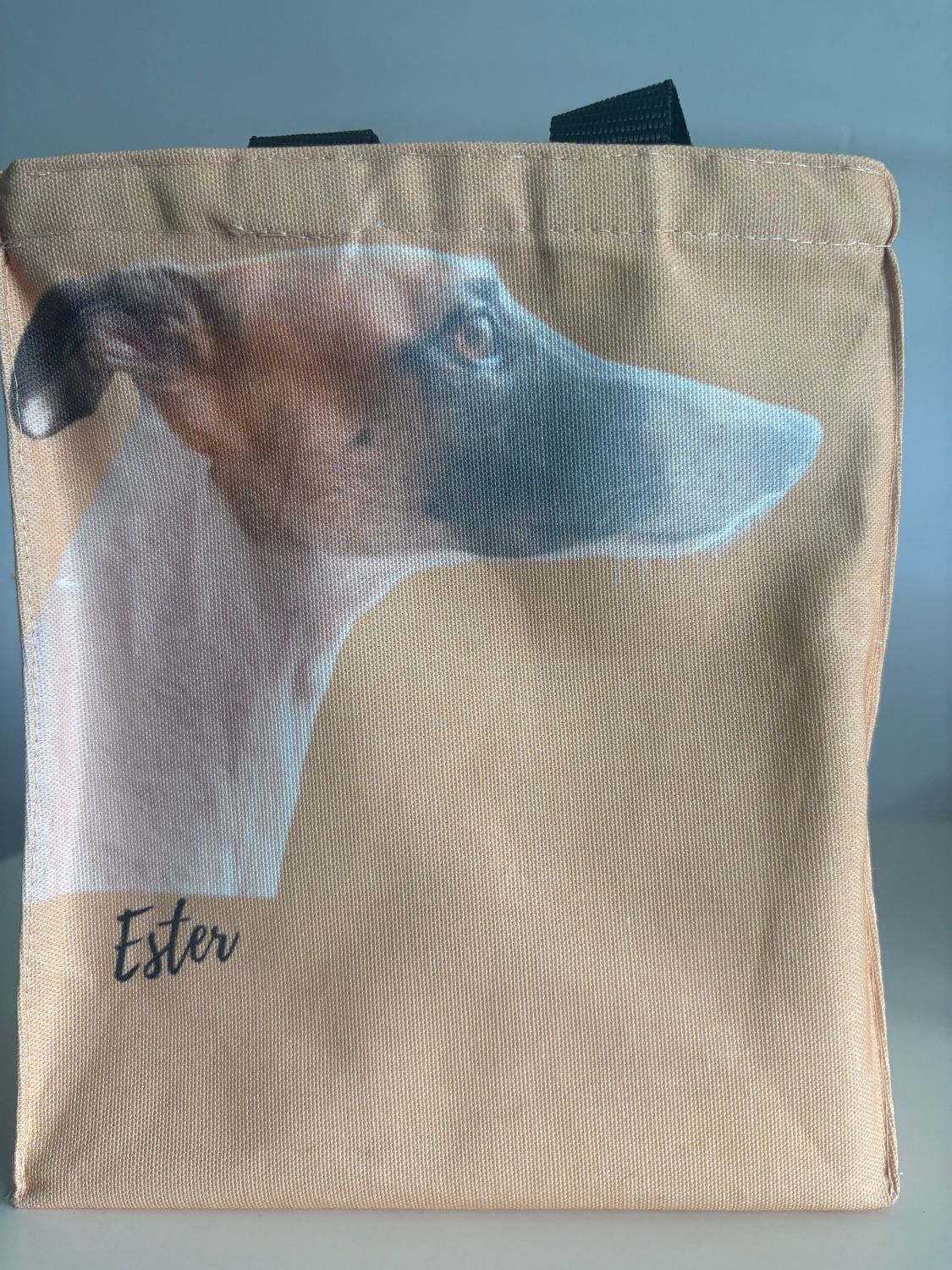 Bag Ester