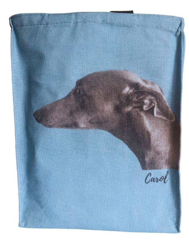 Bag Carol