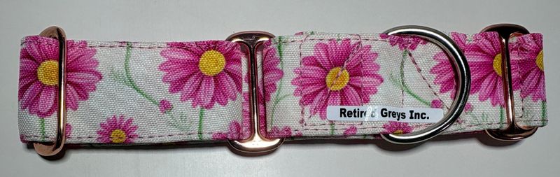 Classic Pink Daisy