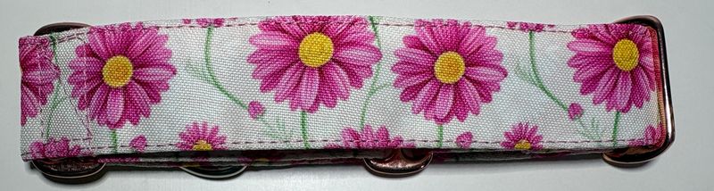 Big Bones Pink Daisy