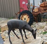 Grazing Doe
