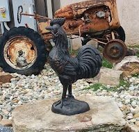 Rooster