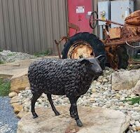 Sheep