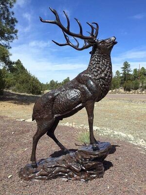 Forward Facing Elk on Stone