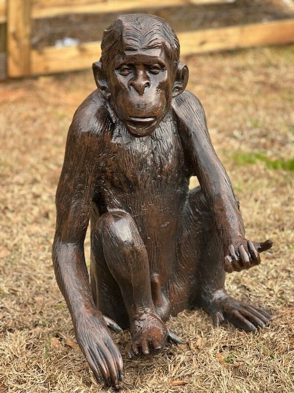 Monkey