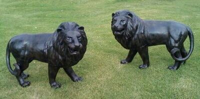 Lions, Tigers And Lynx