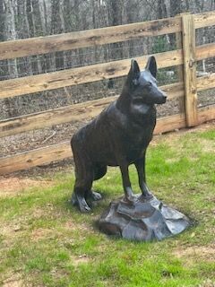 German Shepherd on Rock