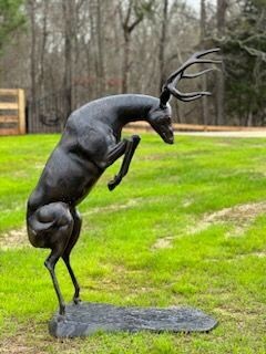 Fighting Buck/Bucks