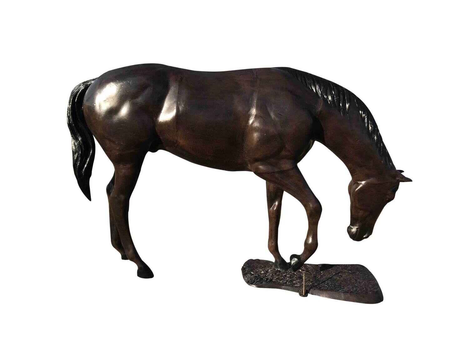 Grazing Horse with grass