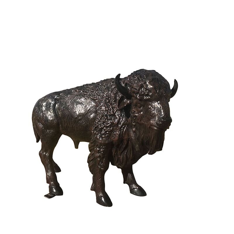 Baby Buffalo