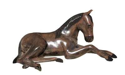 Laying Colt