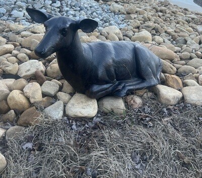 Laying Doe