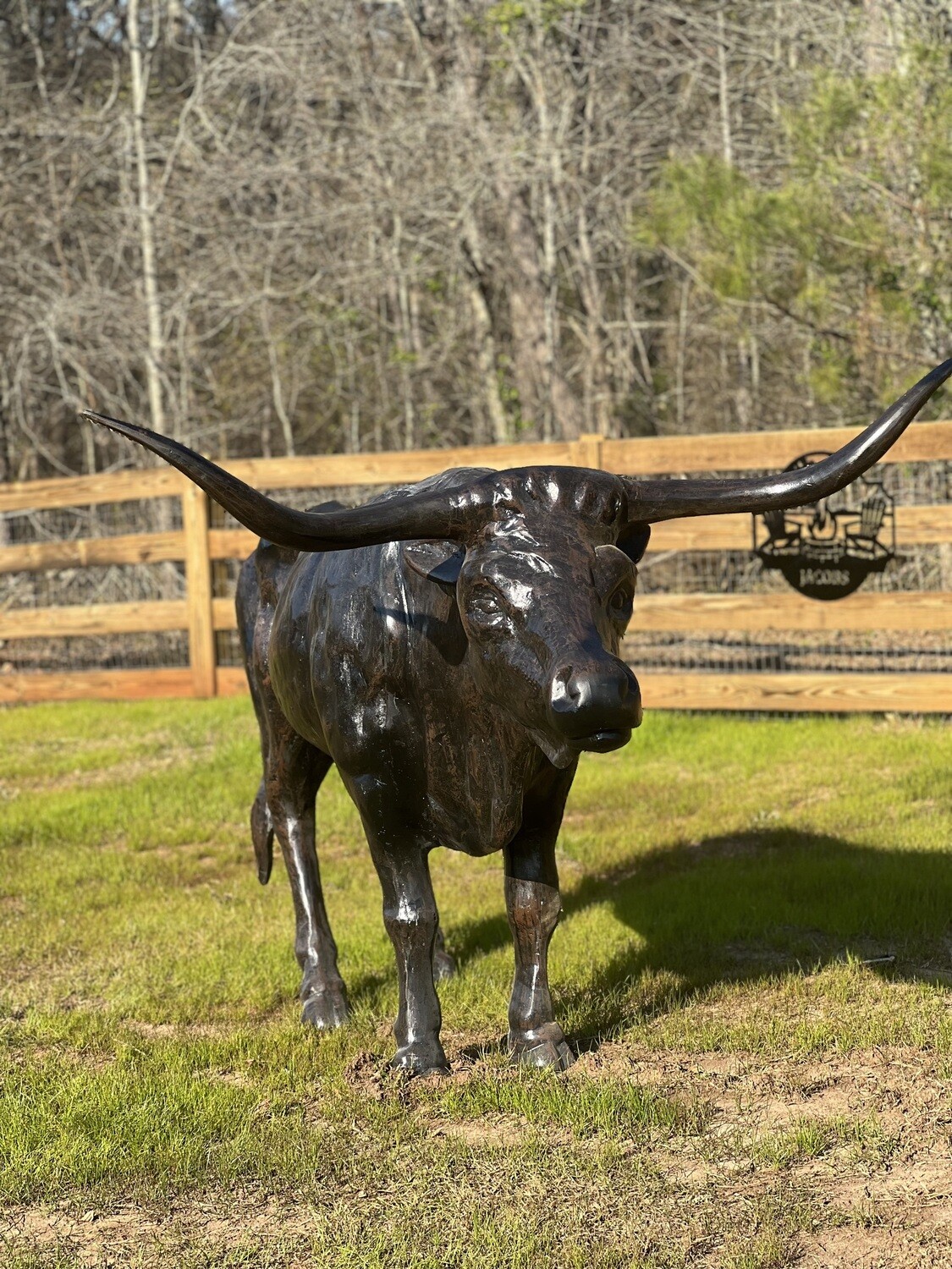 Bull Steer Longhorned