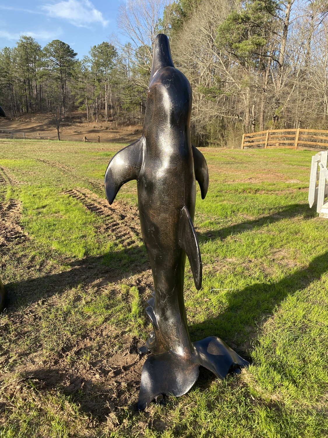 Dolphin 5ft