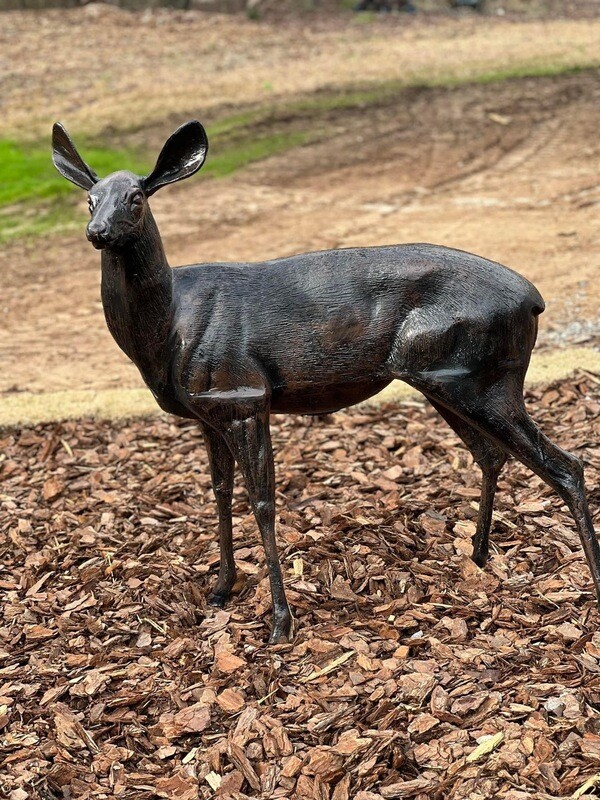 Standing Doe