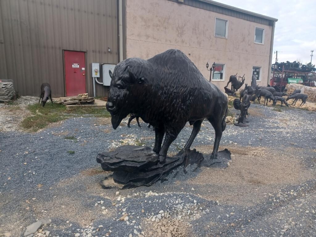 Buffalo On A Rock