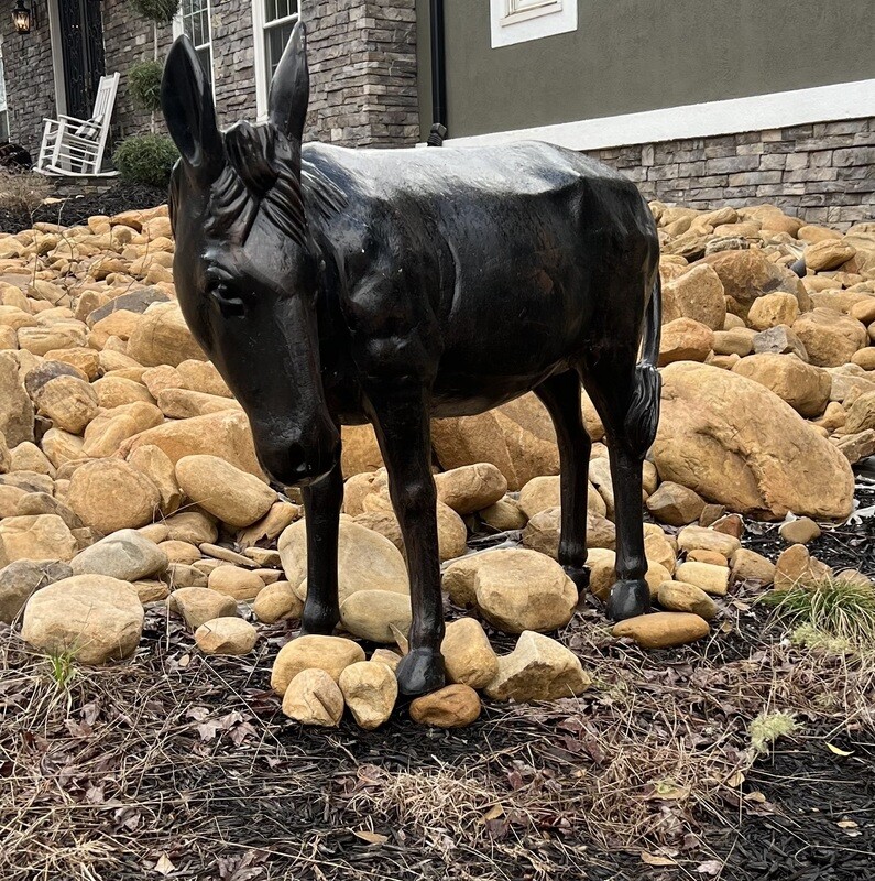Donkey