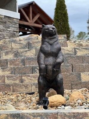 Bears