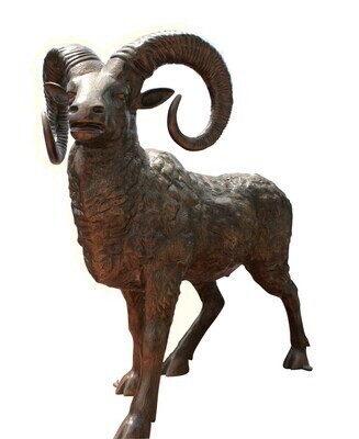 Sheep/Ram/Goat