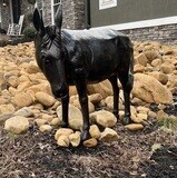 Donkey