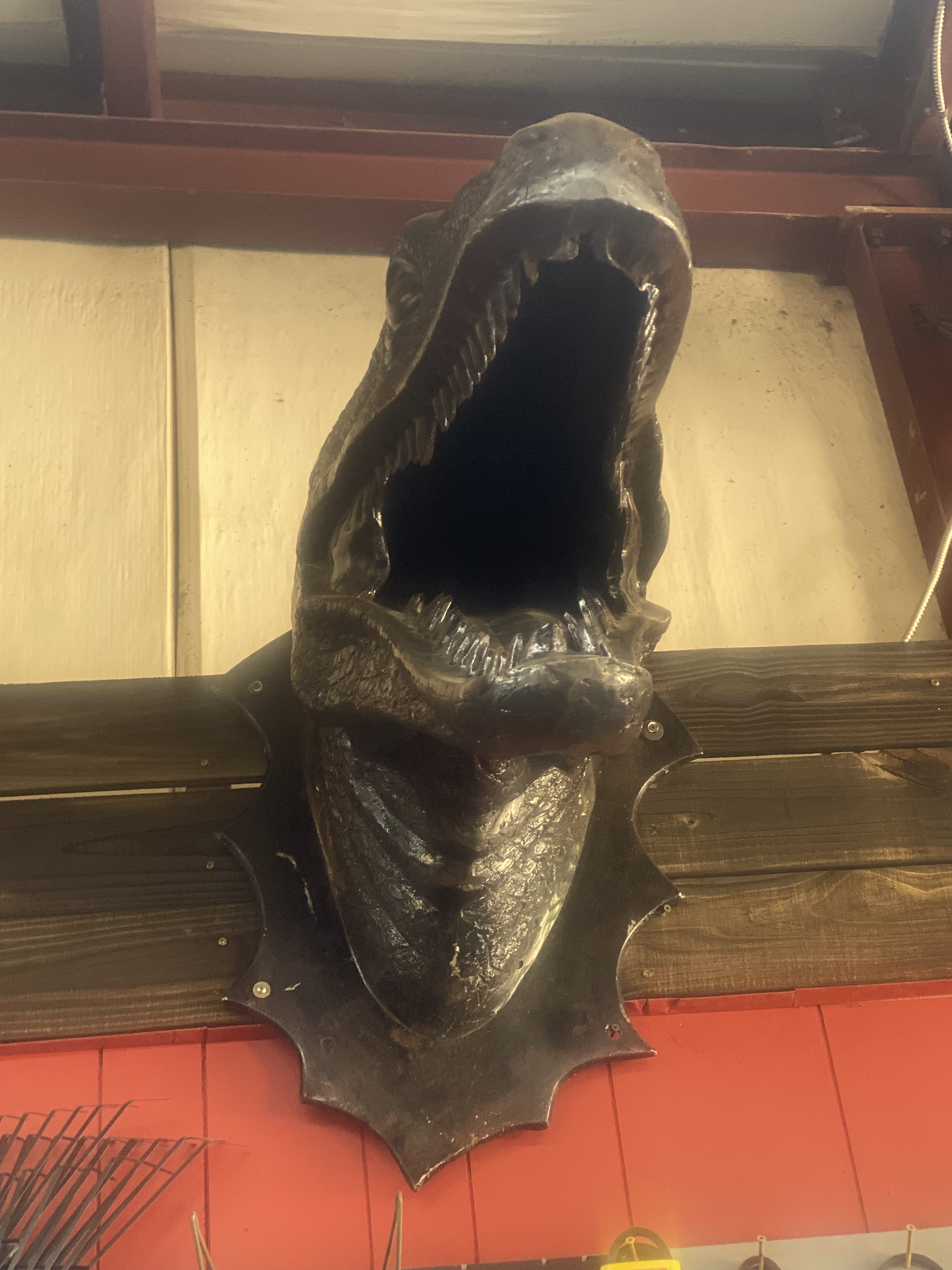 Dinosaur Wall Head Cast