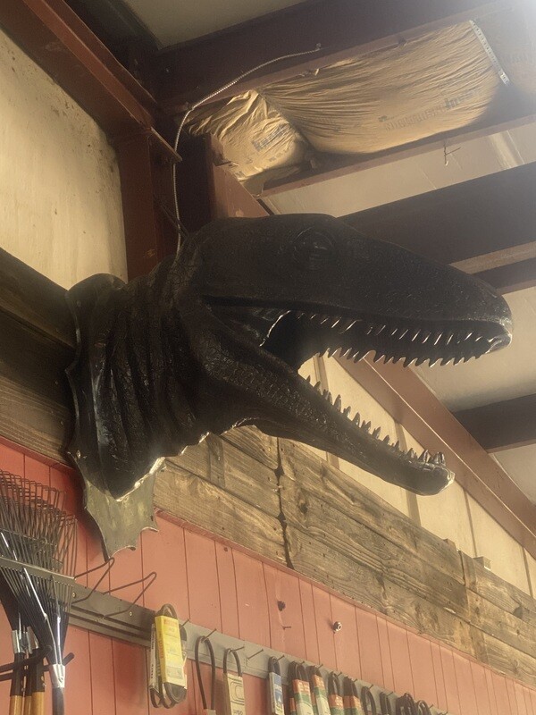 Dinosaur Wall Head Cast