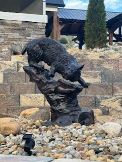 Wildcat