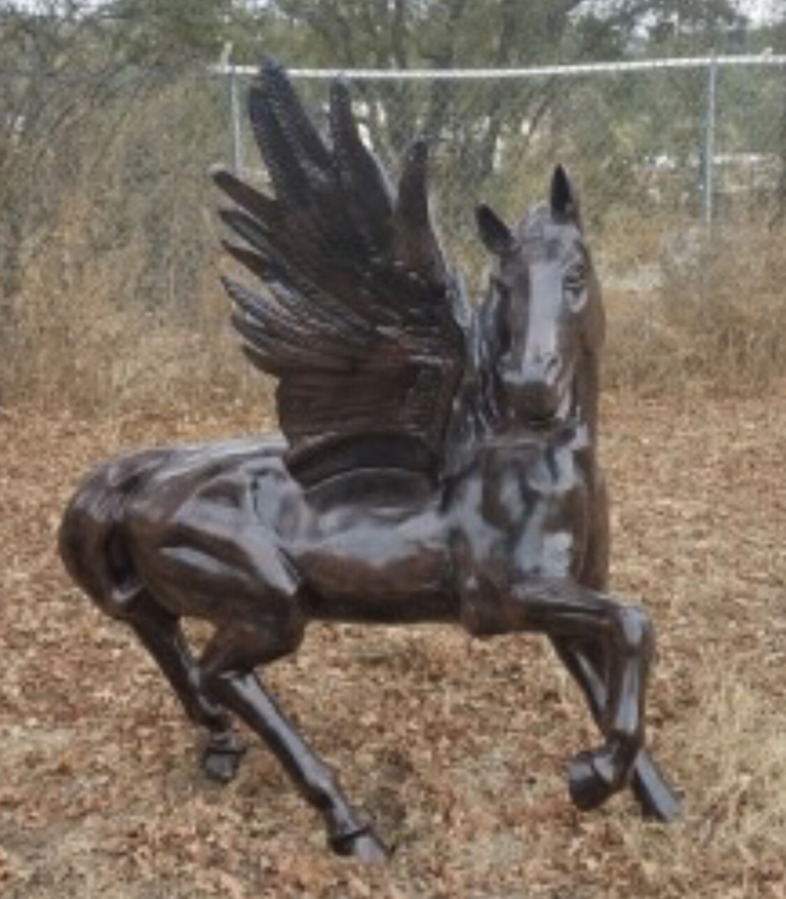Unicorn with wings