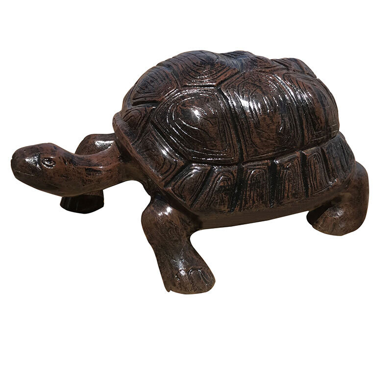 Small Turtle