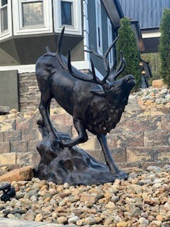 Elk Going Down the Rock