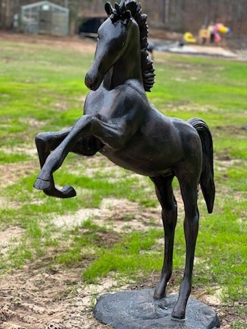 Rearing Colt