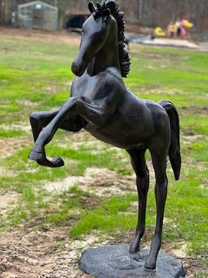 Rearing Colt