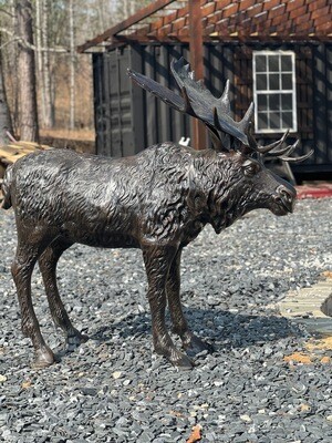 Life Size Moose Cast Aluminum Sculpture & Statue