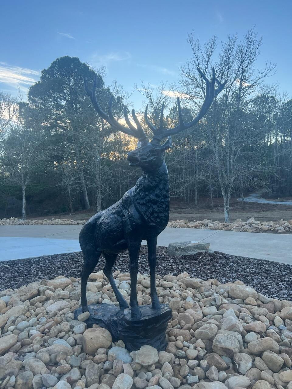 Elk on Stone Facing Right