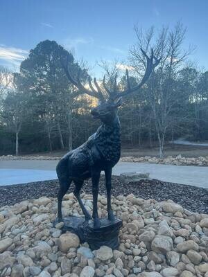 Elk on Stone Facing Right