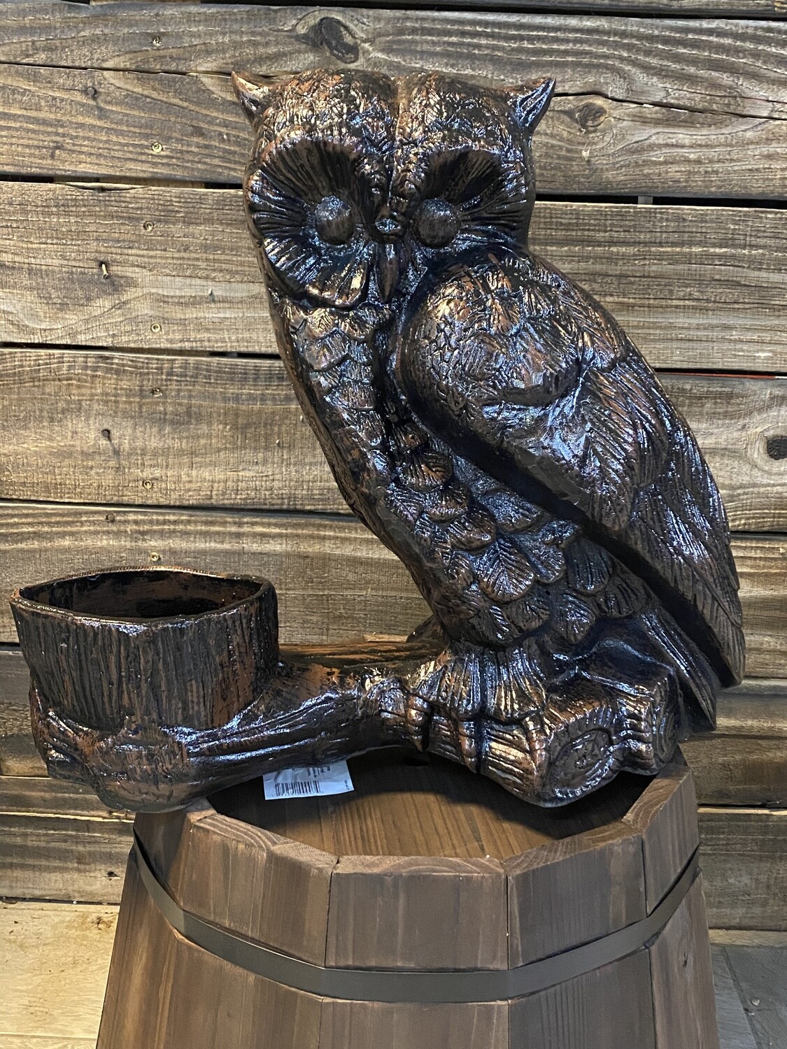 Owl sitting on log with planter