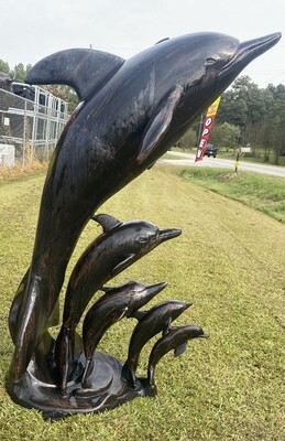 Dolphin with pod