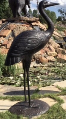 Standing Heron