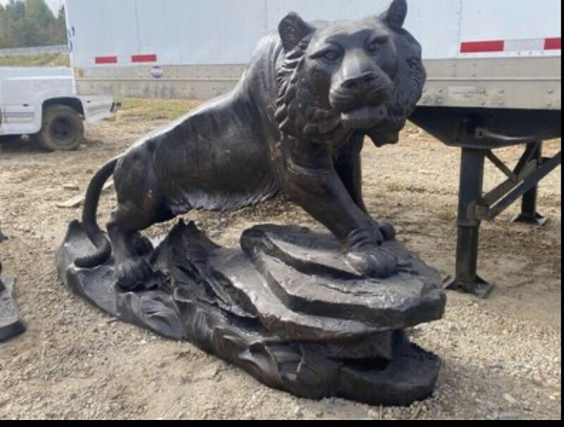 XL Tiger on Rock
