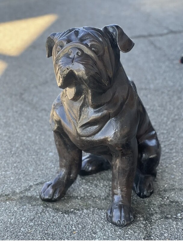 Bulldog