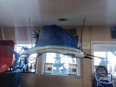 9 Ft Long Sailfish