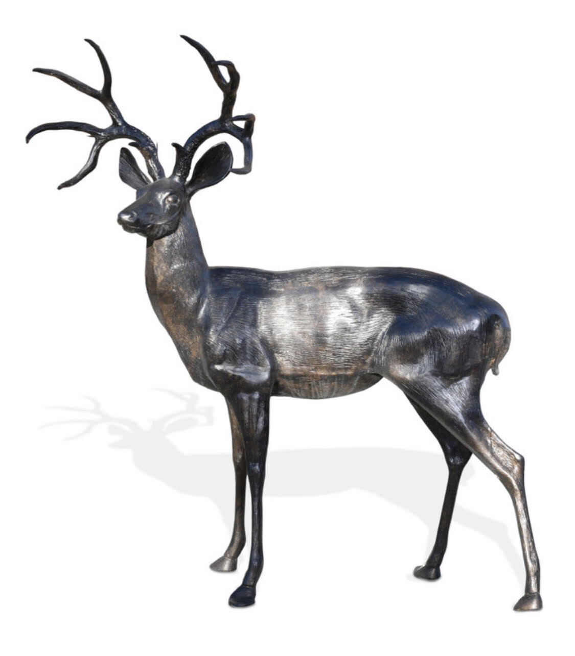 Standing White Tailed Buck Deer