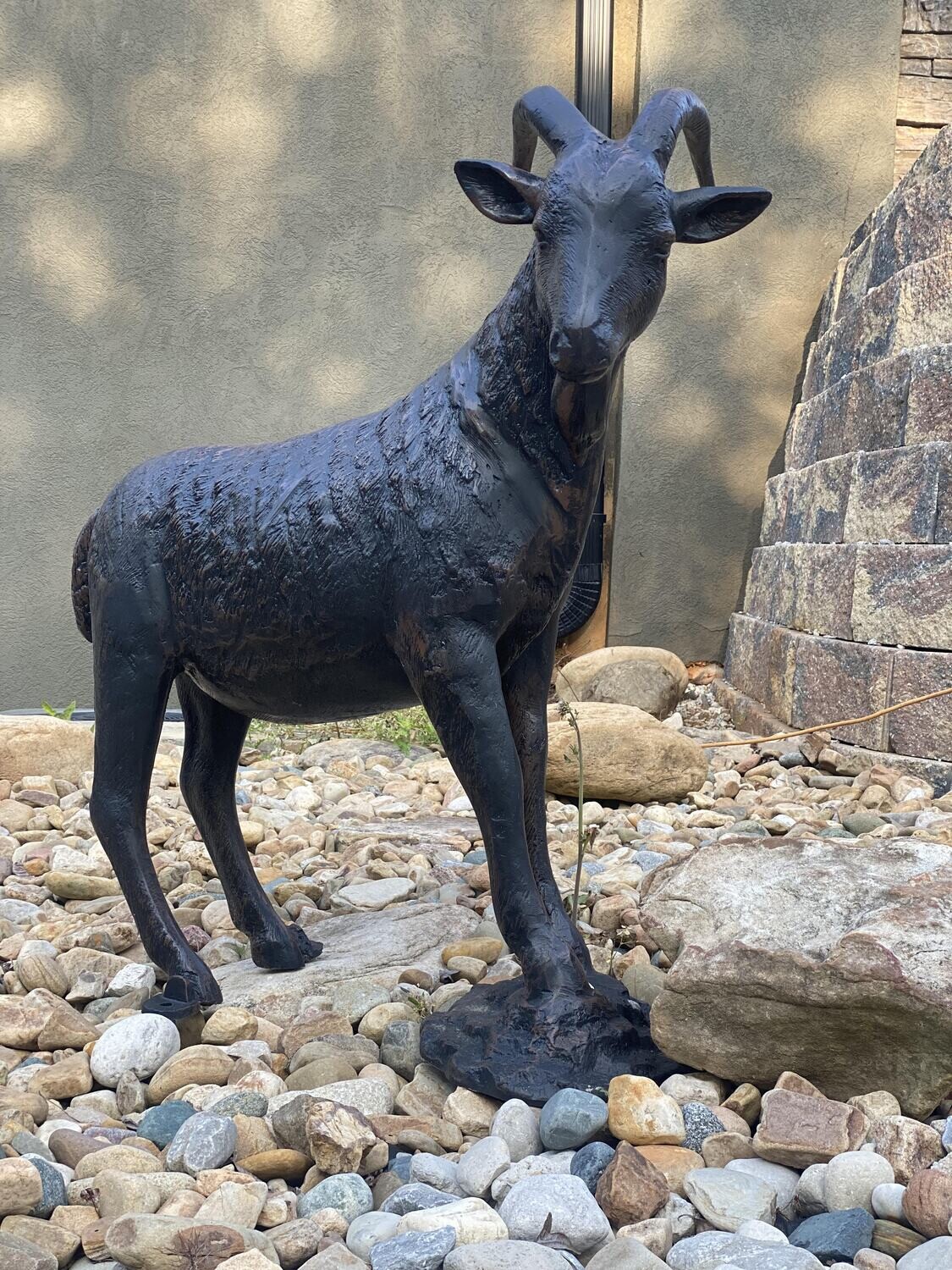 Goat On Rock