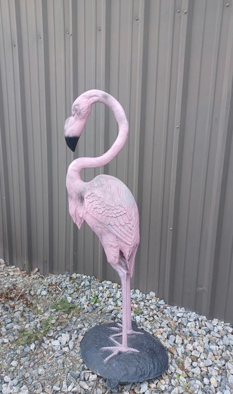 Pink flamingo