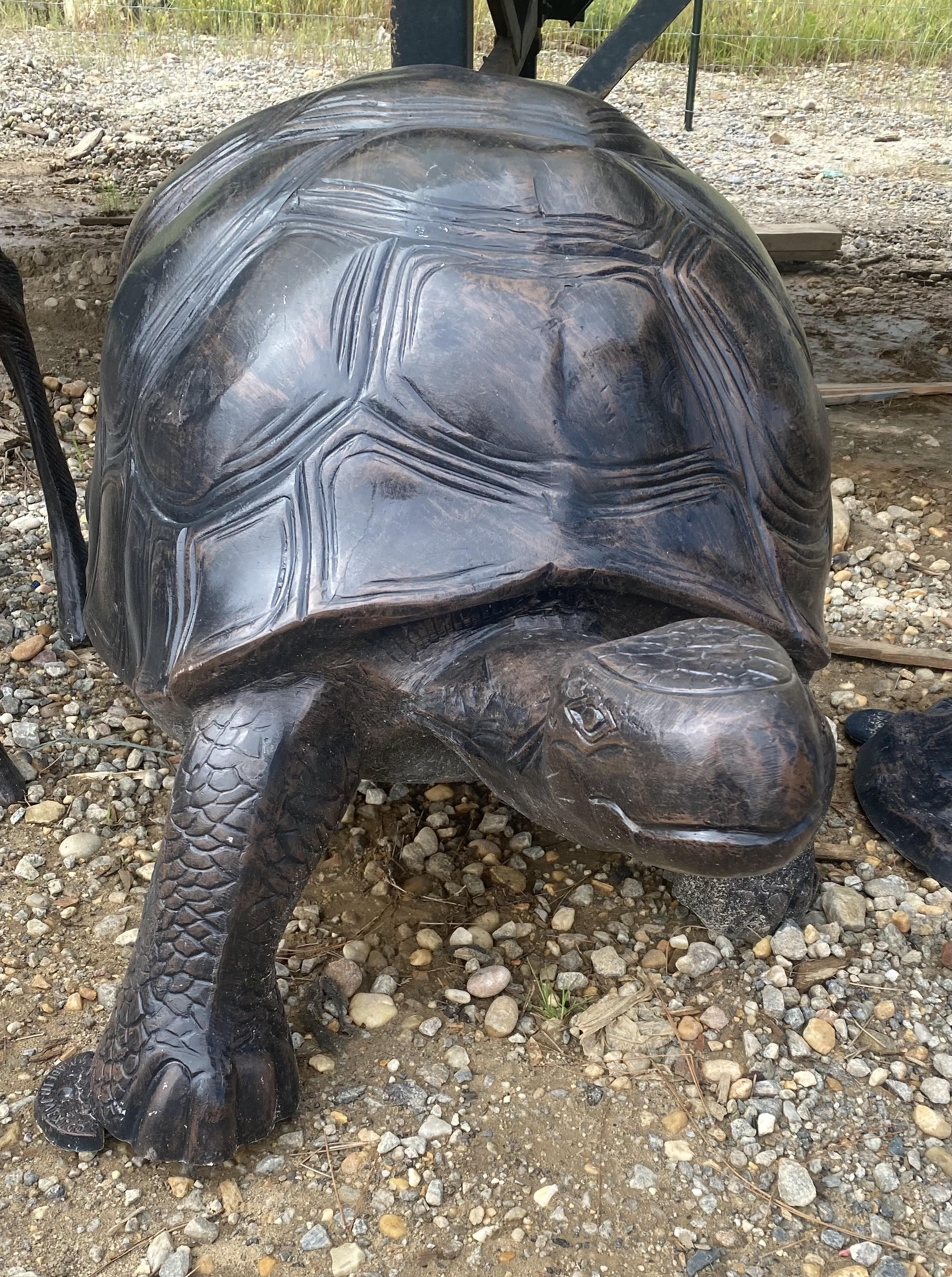 XXL Turtle(4.5 feet long)