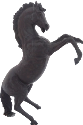 Rearing Stallion
